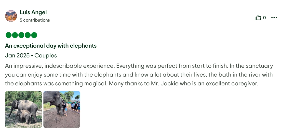 pon elephpant chiangmai thailand reviews